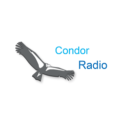 Condor Radio nederlands