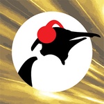 Pinguin Radio – Pinguin Classics